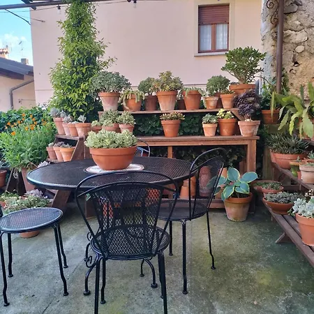 Apartment Costanza Con Giardino *