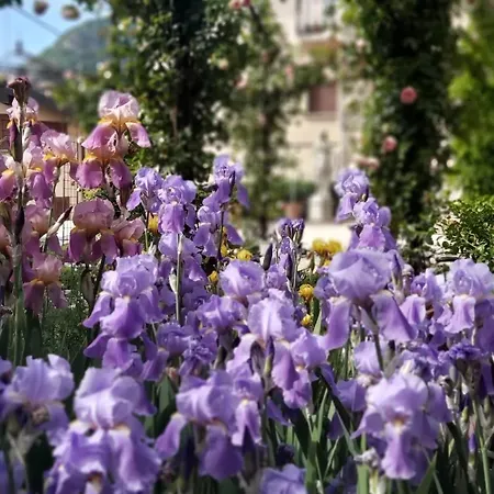 Apartment Costanza Con Giardino *