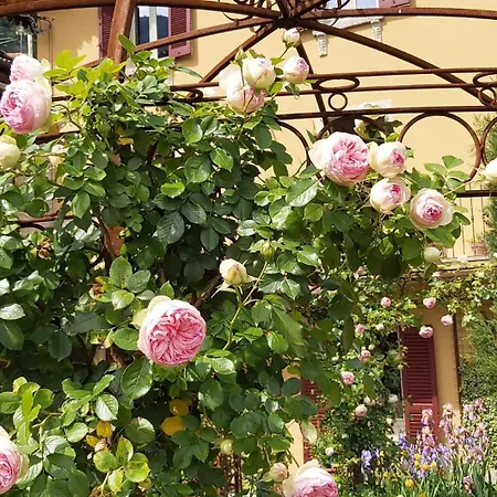 Costanza Con Giardino Apartment Magreglio