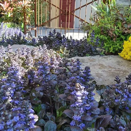 Costanza Con Giardino Apartment *