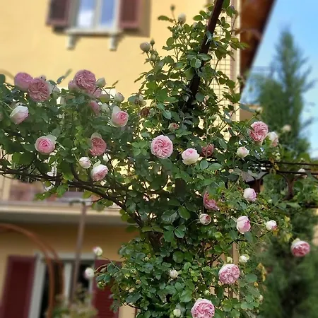 Costanza Con Giardino Apartment Magreglio