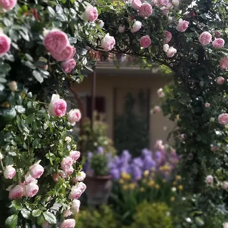 Costanza Con Giardino Apartment *